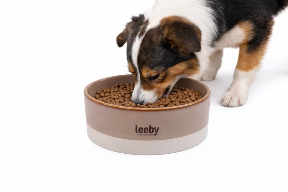 Leeby – Gamelle en C&eacute;ramique Bicolore pour Chiens Affaire À Saisir