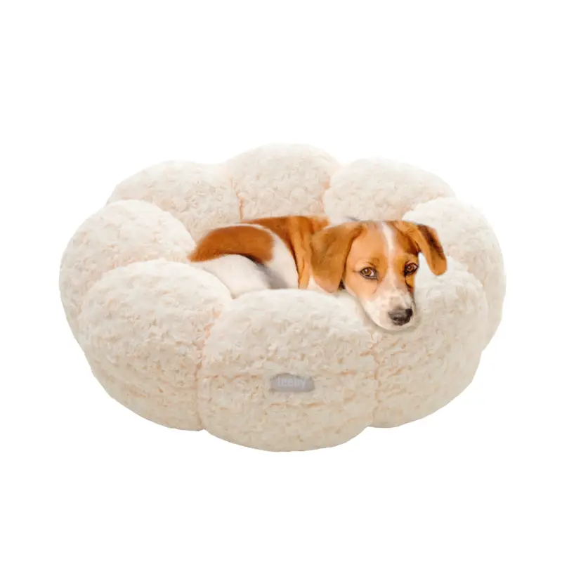 Leeby – Donut Fleur Beige pour Chien Commander Maintenant