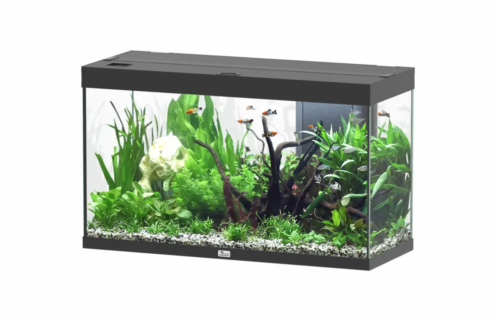Aquatlantis – Aquarium SPLENDID ULTRA 100 LED RGBW BIOBOX 202L – Noir Petit Prix
