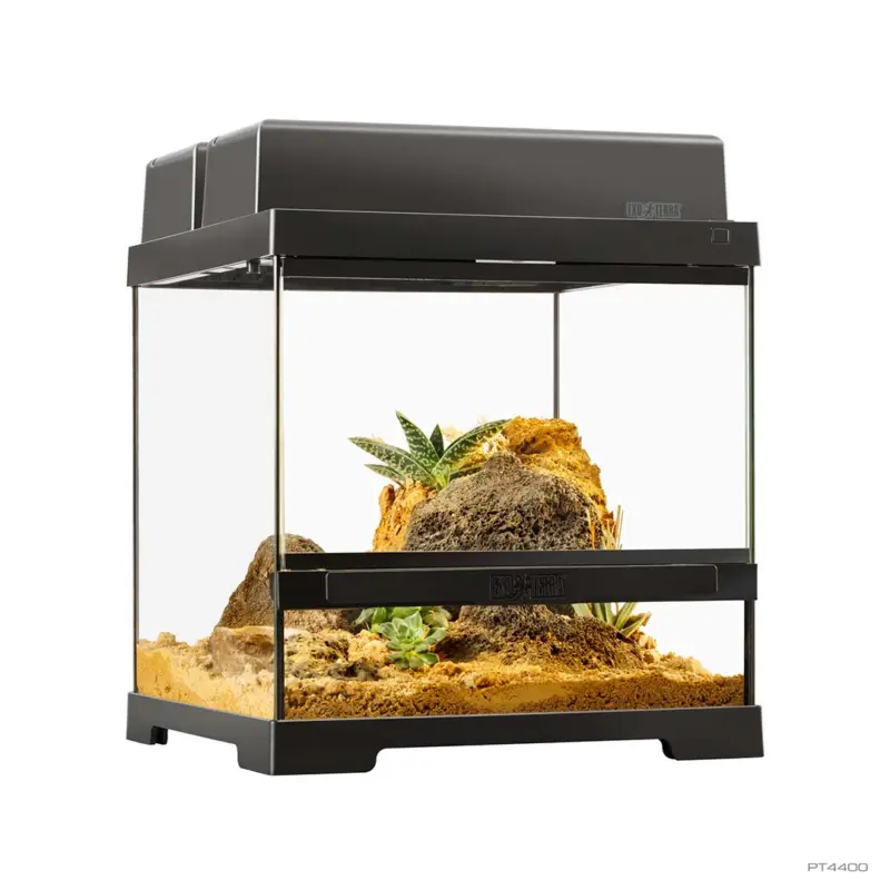 Terradella – Armoire Noire pour Terrarium Prix Promo