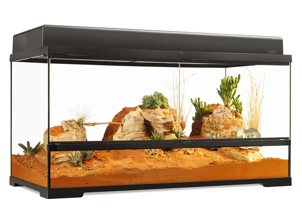Bon Plan Terradella – Armoire Noire pour Terrarium