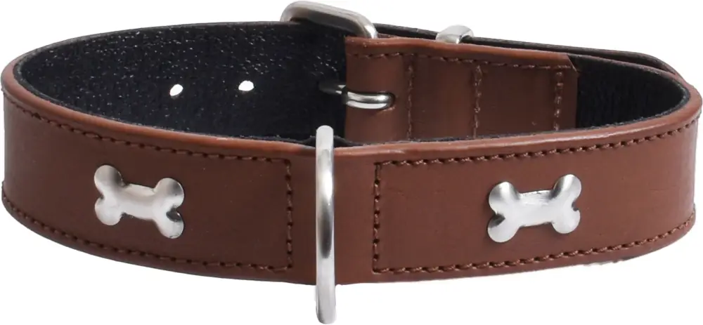 Bobby – Collier Bone Marron pour Chiens Haute Qualité