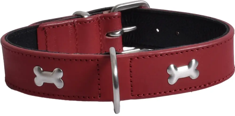 Bobby – Collier Bone Rouge pour Chiens Petit Prix