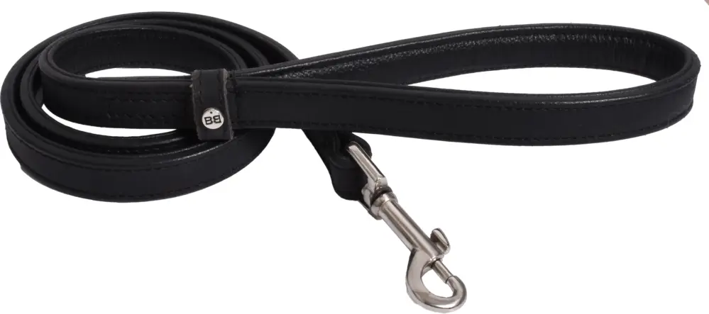 Remise Bobby – Laisse Bone 120cmx18mm pour Chiens