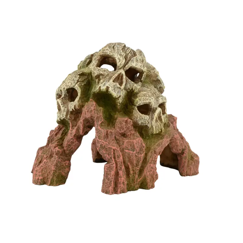Aquavie – D&eacute;coration Caverne Cr&acirc;ne pour Reptiles – 18cm Offre Spéciale
