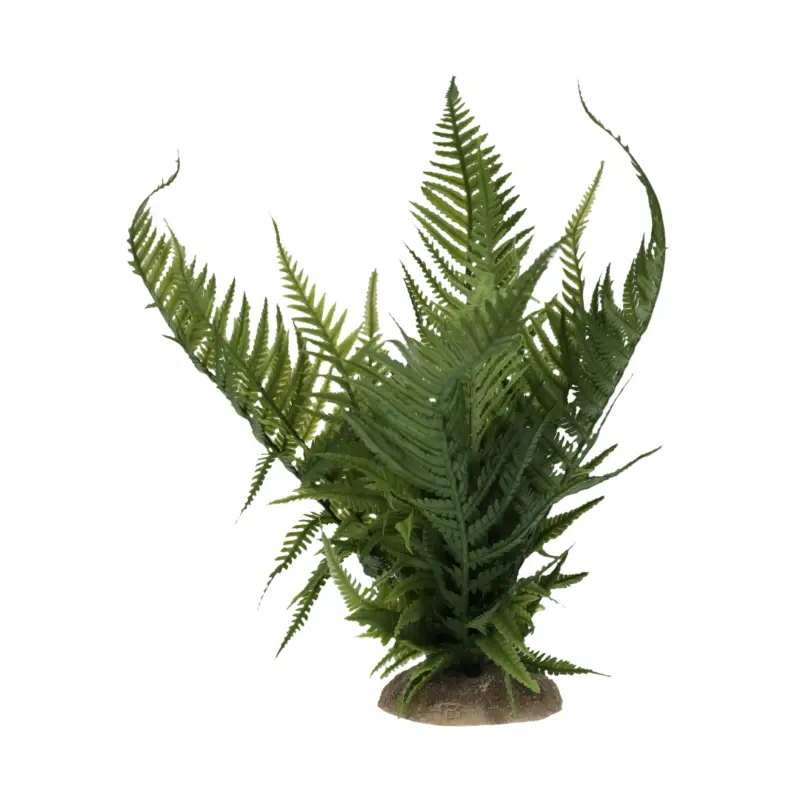 Terradella – D&eacute;coration Plante Foug&egrave;re pour Terrarium Prix Bas