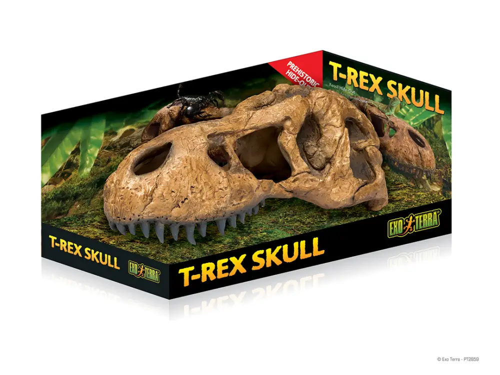 Prix Promo Exo Terra – D&eacute;coration T-Rex Skull Abri Fossile pour Terrarium – 14,5×25,5×12,5cm