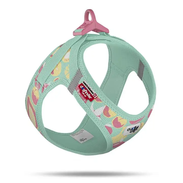 Curli – Harnais Air -Mesh Fruits Turquoise Edition Limit&eacute;e Promotion Saisonnière