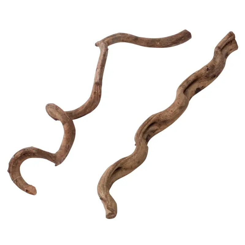 Terra Della – D&eacute;coration Lianes pour Terrarium – S/75cm Satisfait Ou Remboursé