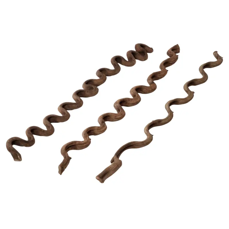 Terra Della – D&eacute;coration Lianes pour Terrarium – M/115cm Promotion Saisonnière