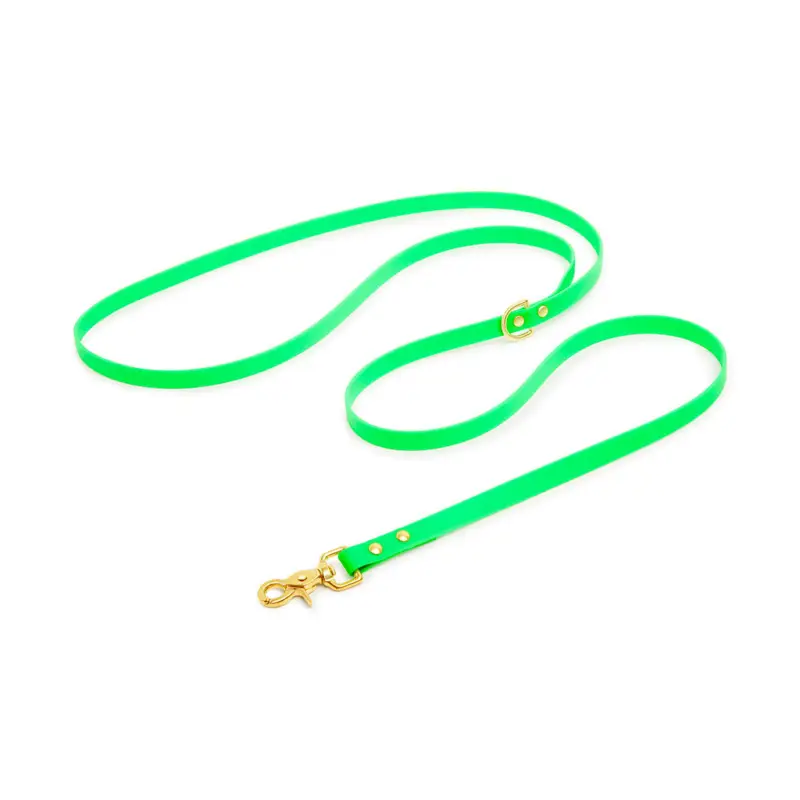 Expédition Rapide Pop Dog – Laisse Bandouli&egrave;re Pirate Vert pour Chien – XS/S