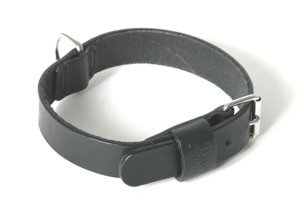 Achetez Aujourd&rsquo;hui Martin Sellier – Collier en Cuir Noir avec Bords Ronds pour Chien