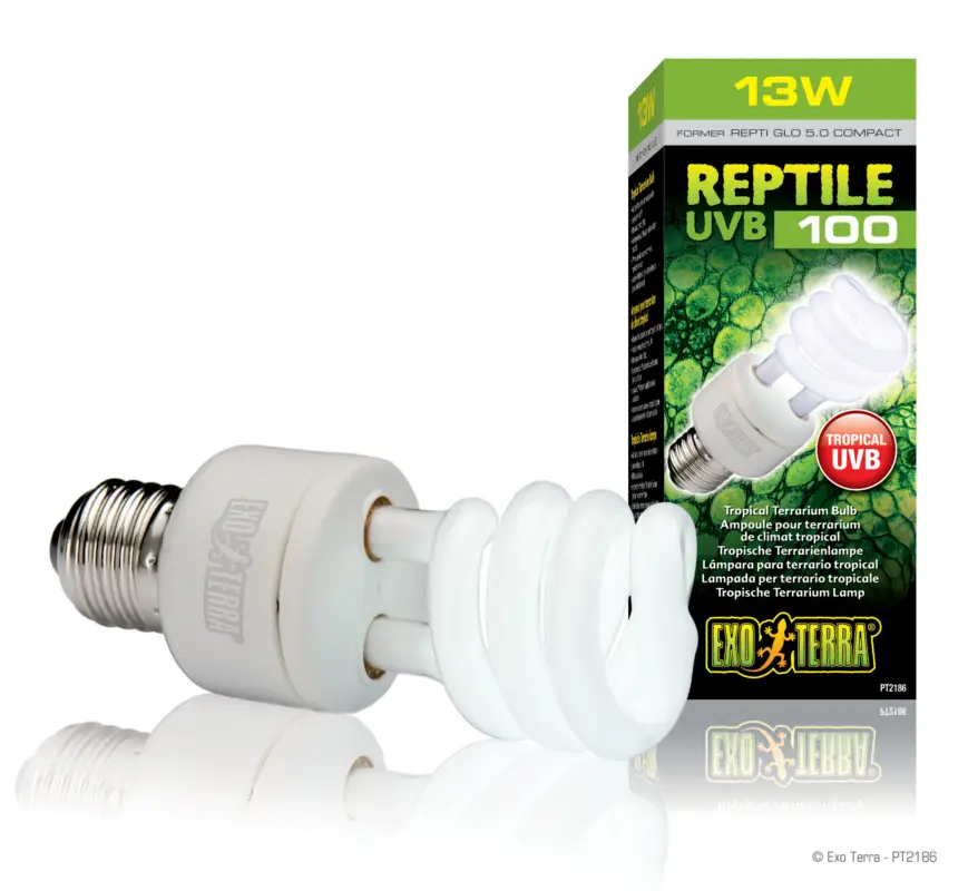 Exo Terra – Ampoule UVB 100 Fluocompact pour Terrarium Reptile Quantité Limitée