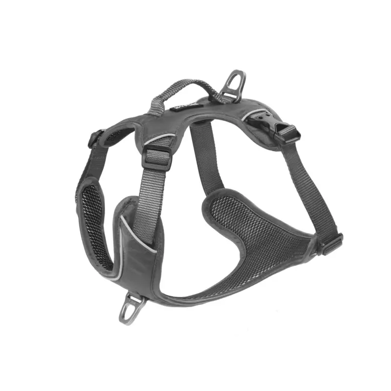 Pas Cher Kyflie – Harnais Momentum Gris pour Chien