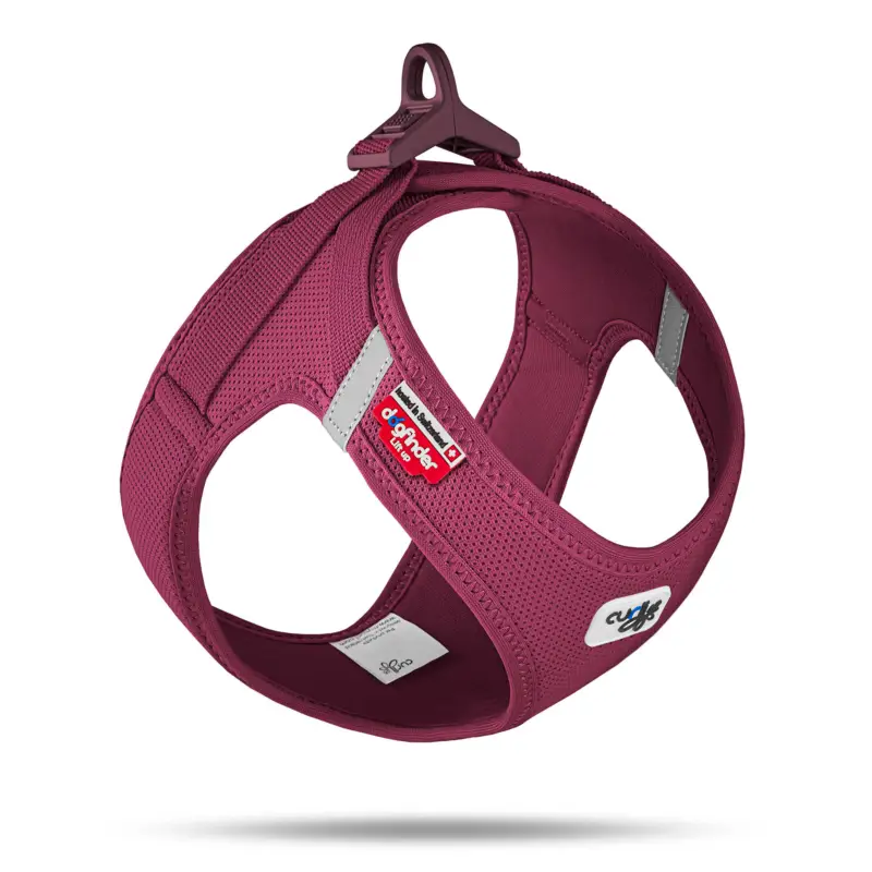 Curli – Harnais Veste Boucle Curli Clasp Ruby pour Chien Offre Limitée