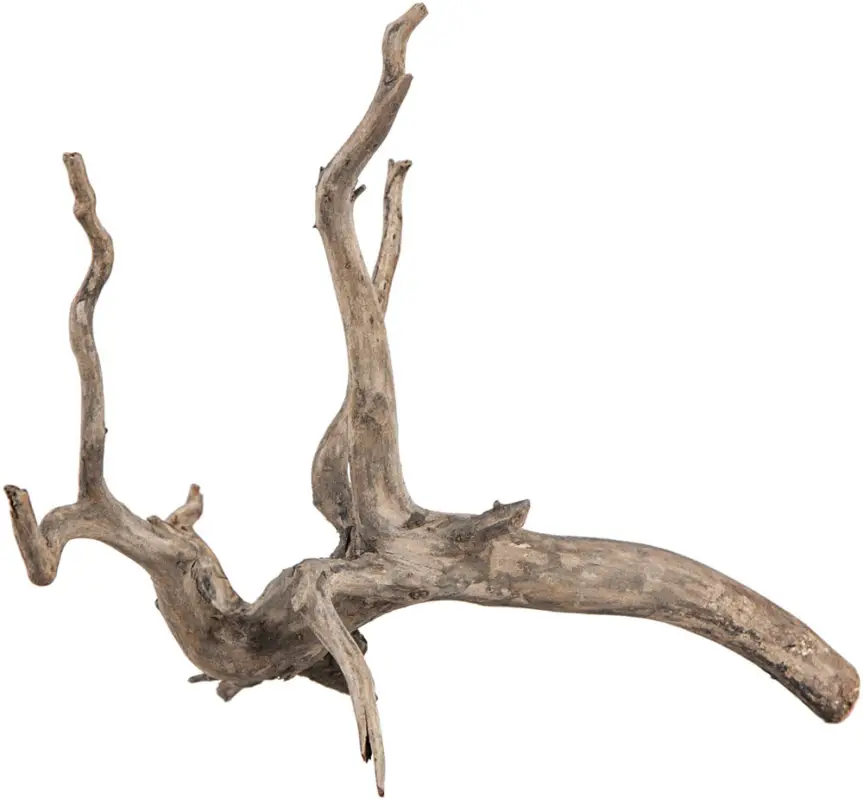 Must-Have Sera – Racine Scaper Root pour Aquarium
