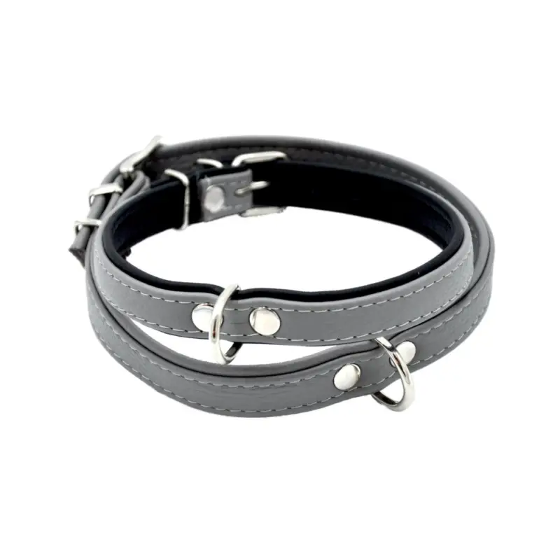 Prix Cassé Comme Un Roi - Collier Cuir So Nature Gris pour Chien