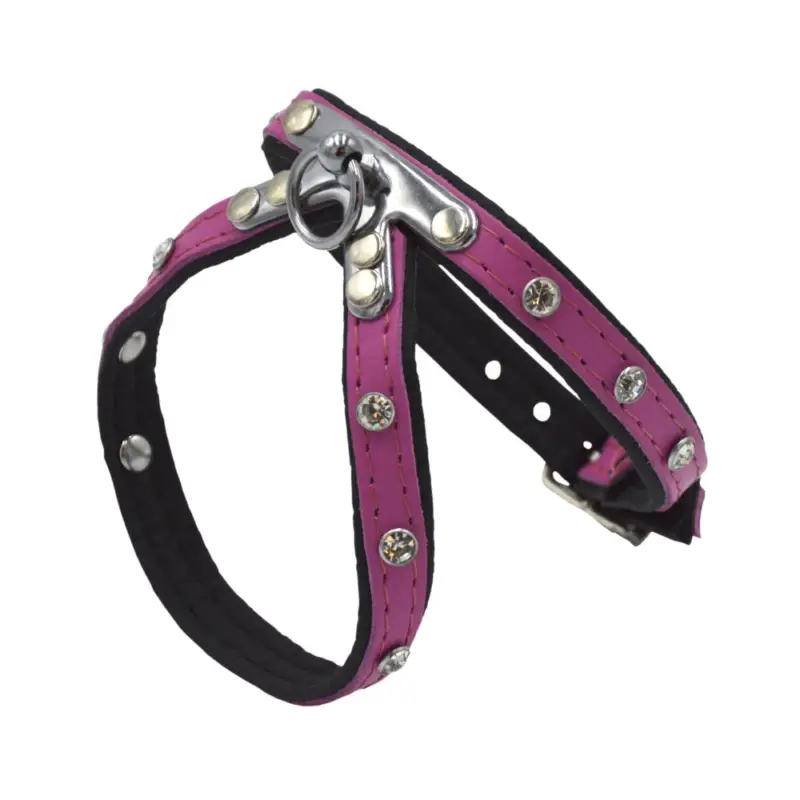 Authentique Comme Un Roi – Harnais Cuir So Funky Rose pour Chien