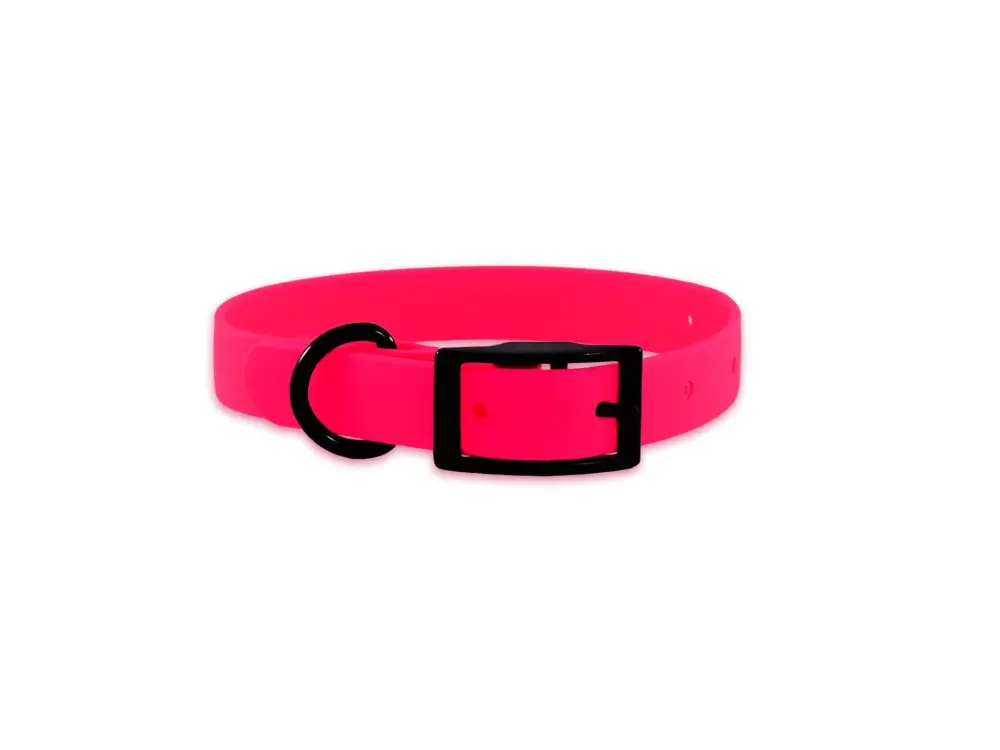 eKys – Collier Biothane pour Chien Rose Expédié Aujourd&rsquo;hui