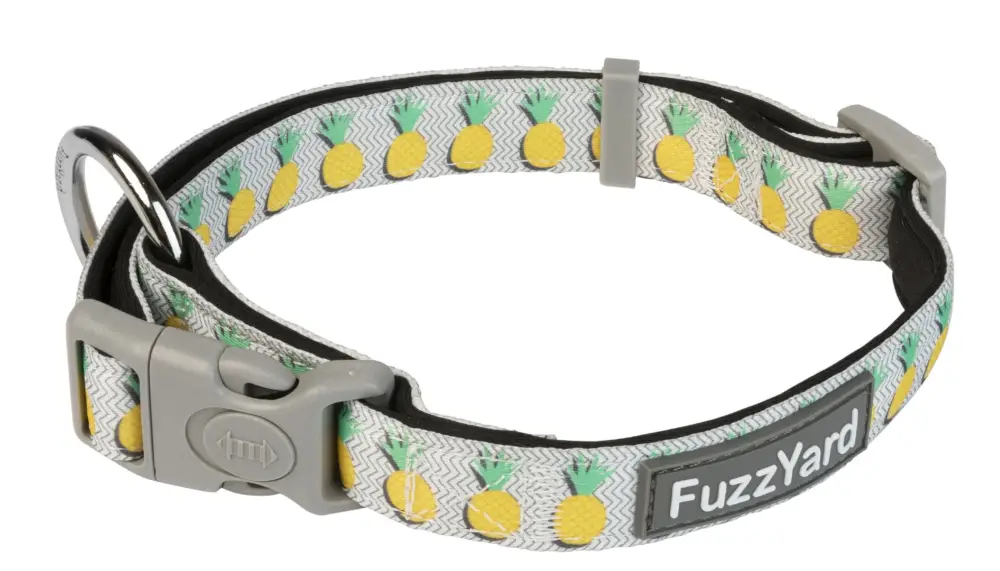 FuzzYard – Collier Pi&ntilde;a Colada pour Chiens Prix Cassé