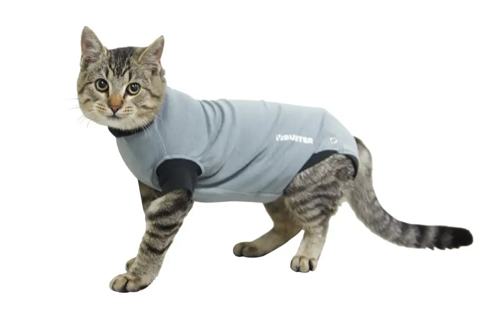 Quantité Limitée Kruuse – Buster Body Suit Chat
