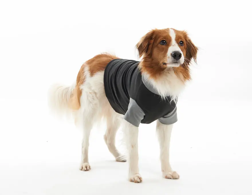 Prix Choc Kruuse - Buster Body Suit Chien