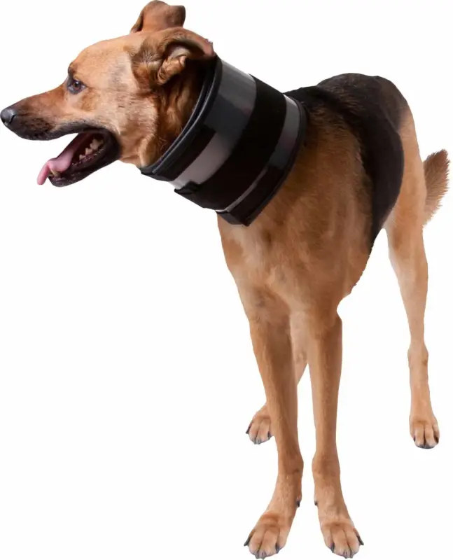 Remise KVP - Minerve Bite Free Cervical Pour Chien