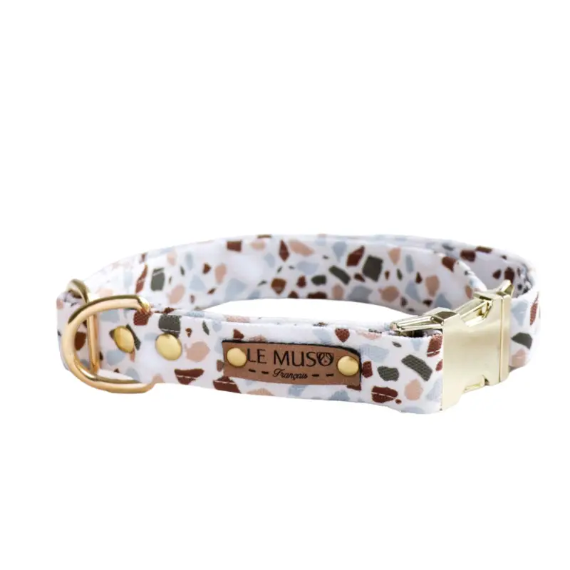 Commander Maintenant Le Muso – Collier Rocky Blanc pour Chiens