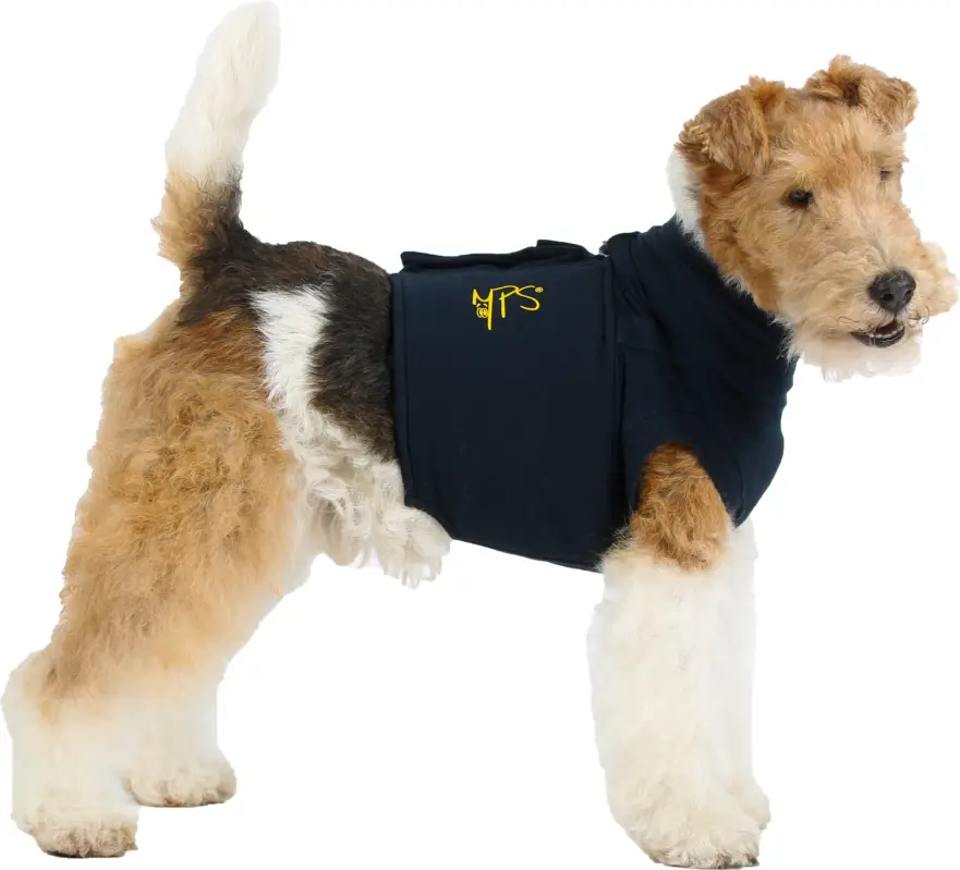 Nouvel Arrivage Medical Pet Shirt - Gilet de Protection Plaies 4 en 1 pour Chiens