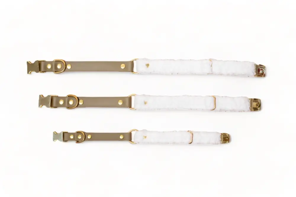 Super Prix Pompon & Pets - Collier Duo Petit Prince pour Chiens