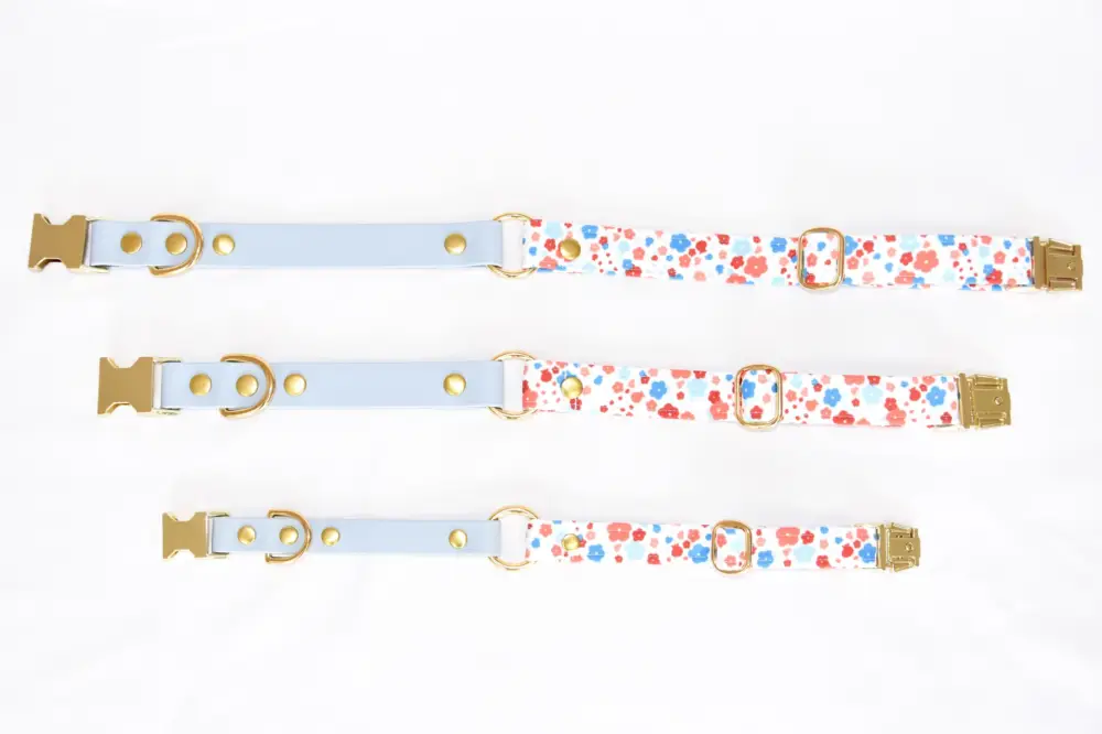 Pompon & Pets – Collier Duo Spring pour Chiens Satisfait Ou Remboursé