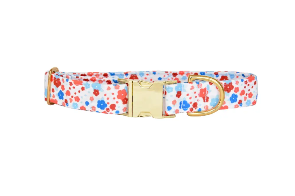 Retour Gratuit Pompon & Pets – Collier Spring pour Chiens
