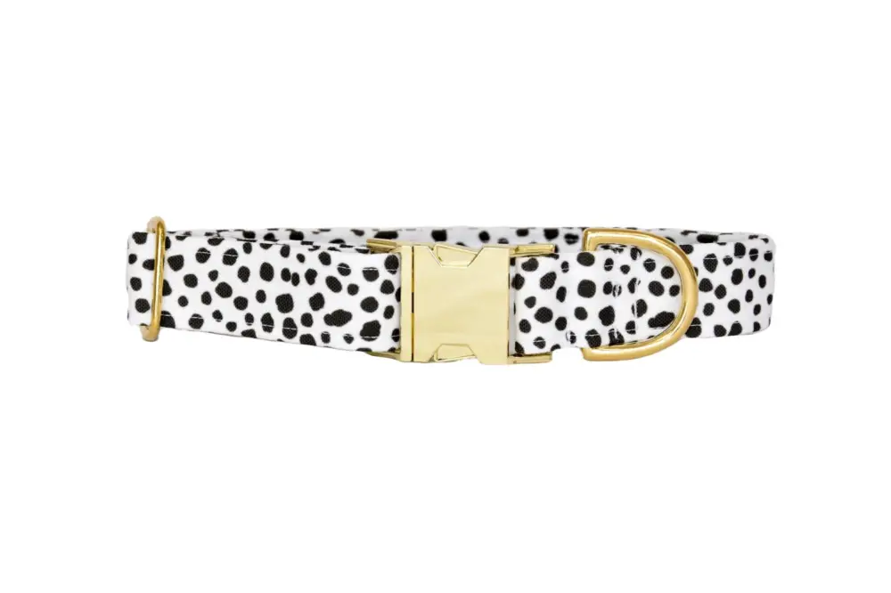 Pompon and Pets - Collier Pongo pour Chiens Promotion