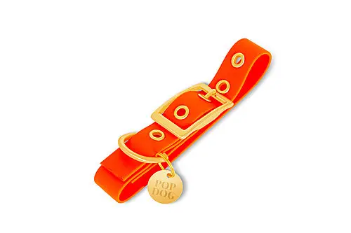 Solde Pop Dog – Collier &agrave; &frac14;illet Foufou Orange pour Chien