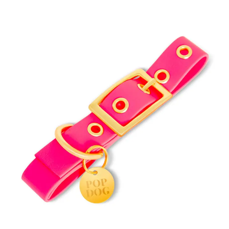 Quantité Limitée Pop Dog - Collier à ¼illet Glouton Rose pour Chien