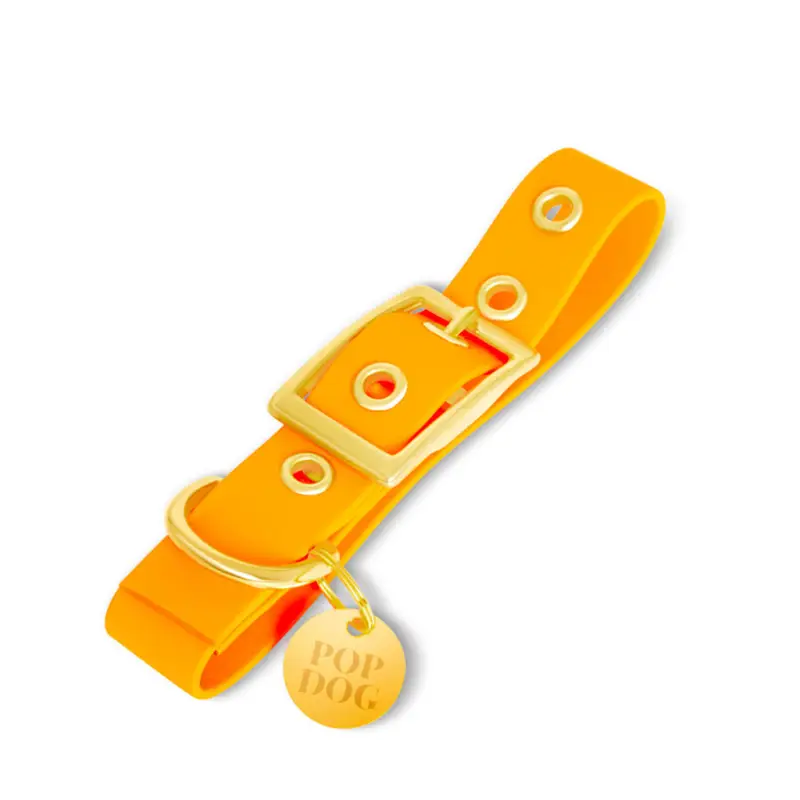 Pop Dog – Collier &agrave; &frac14;illet Pitchoune Orange pour Chien Réduction