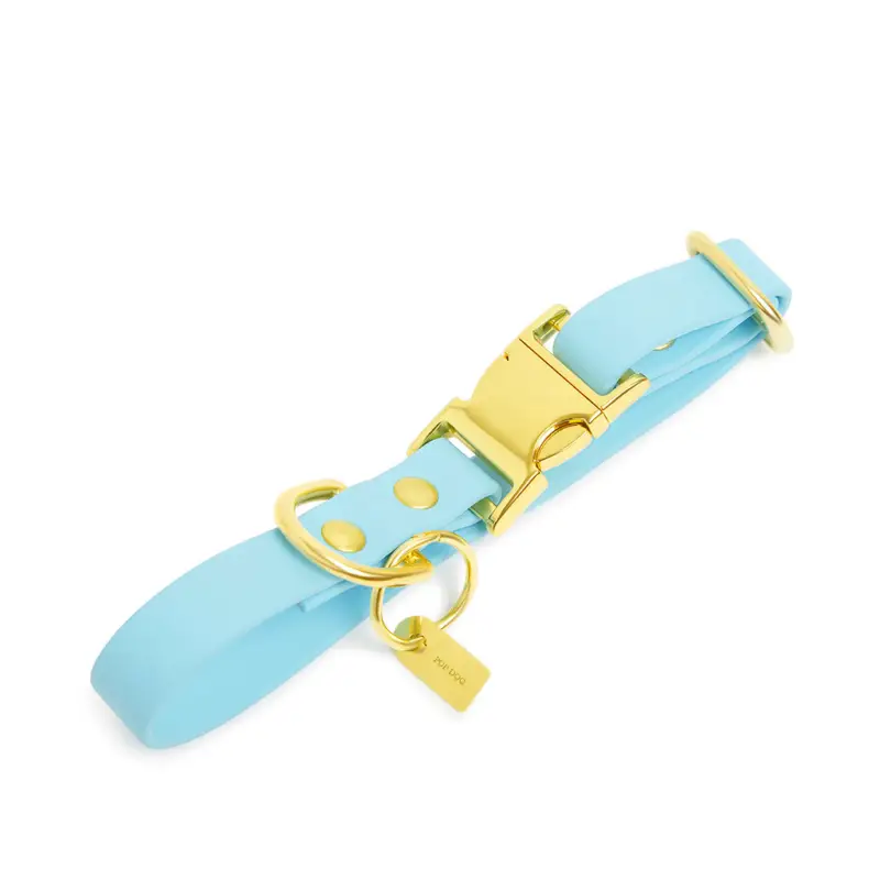 Satisfait Ou Remboursé Pop Dog - Collier Dragueur Bleu pour Chien