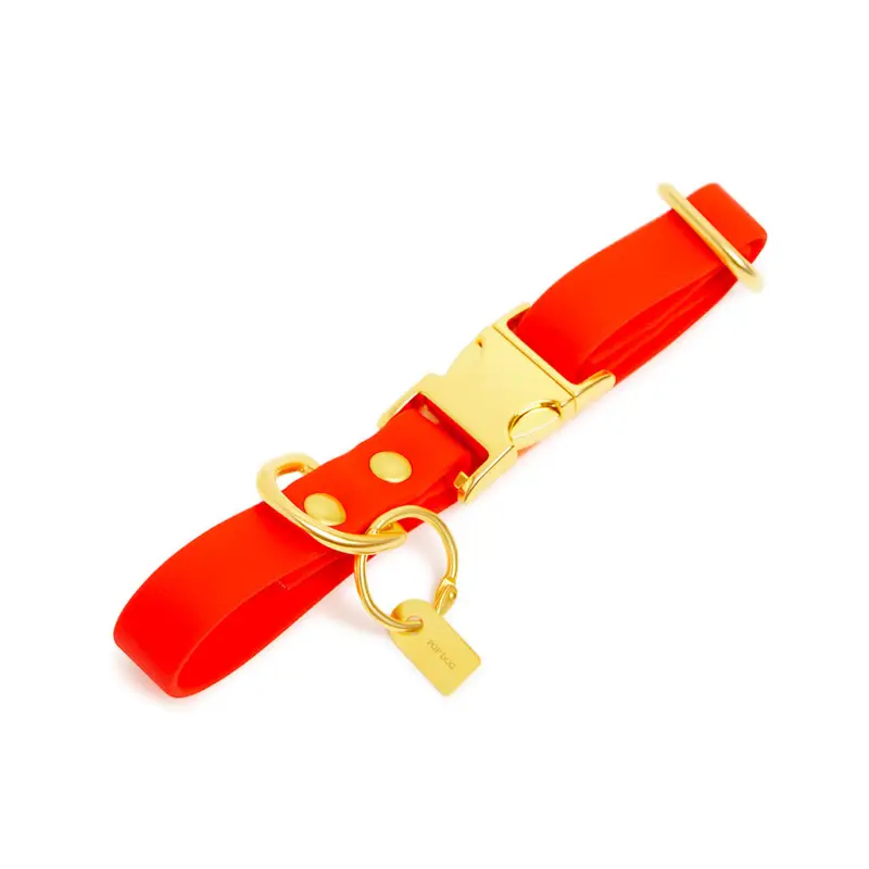 Expédié Aujourd&rsquo;hui Pop Dog – Collier Foufou Orange pour Chien