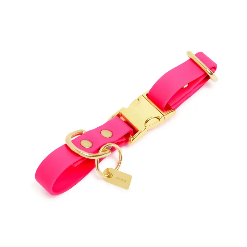 Quantité Limitée Pop Dog - Collier Glouton Rose pour Chien