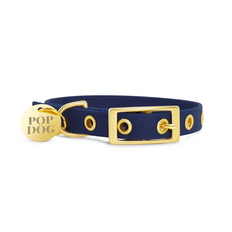 Petit Prix Pop Dog – Collier Patapouf &frac14;illets Bleu pour Chiens