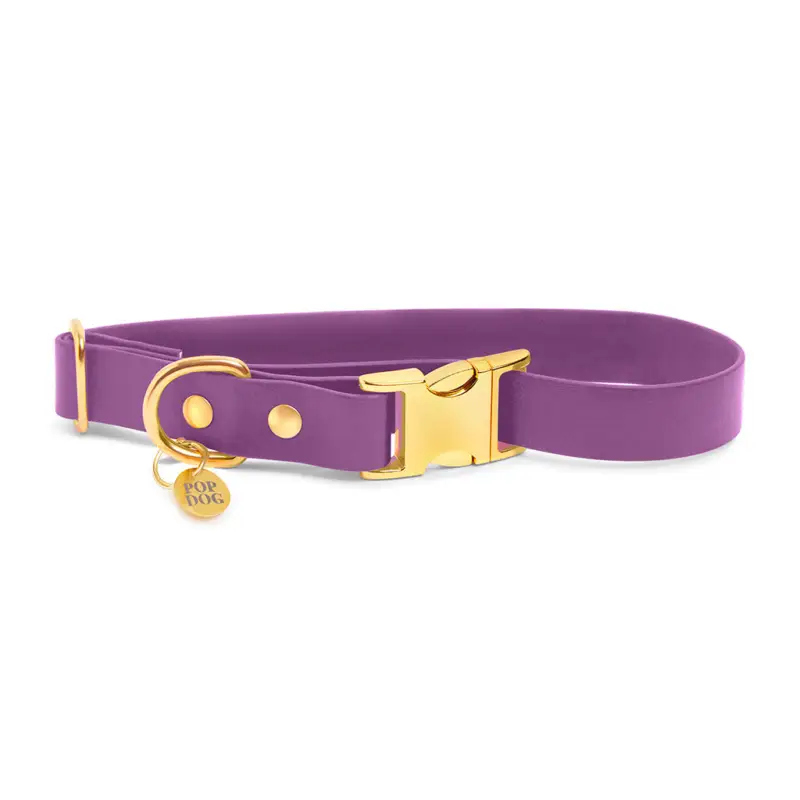 Promotion Pop Dog – Collier Pr&eacute;cieux Violet pour Chien