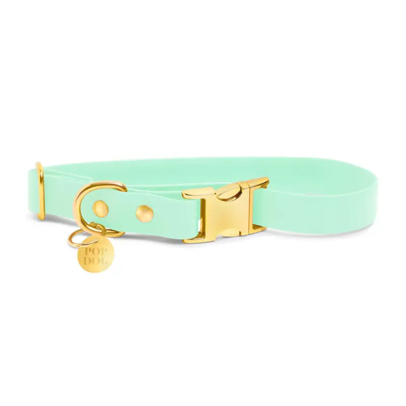 Meilleure Vente Pop Dog - Collier Swimmy Vert pour Chien