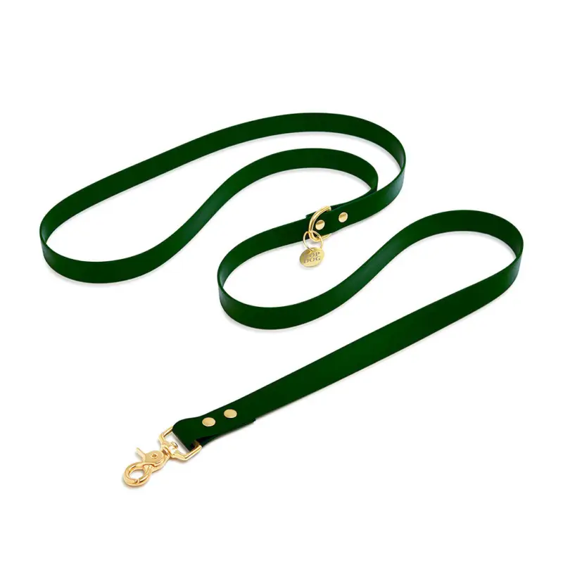 Meilleure Vente Pop Dog - Laisse Bandoulière Elégant Vert pour Chien