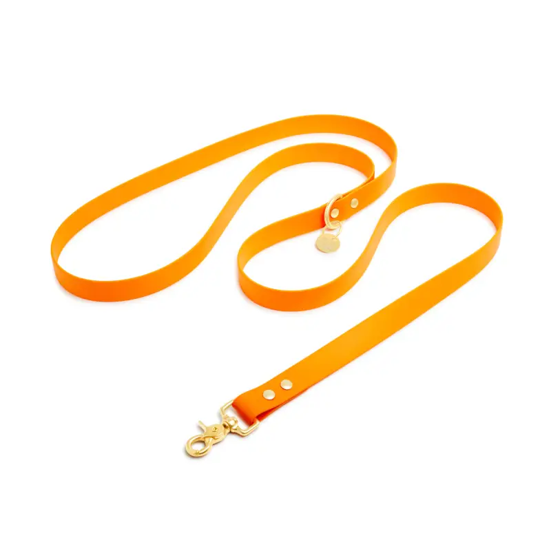 Top Vente Pop Dog – Laisse Bandouli&egrave;re Pitchoune Orange pour Chien