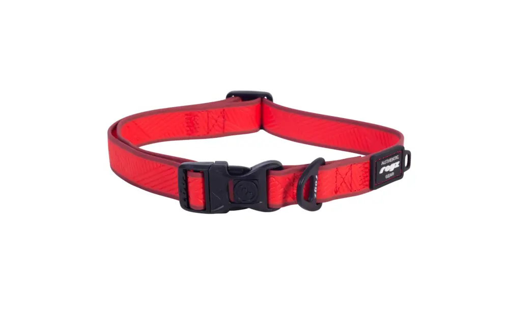 Expédié Aujourd&rsquo;hui Rogz – Collier Amphibian Rouge pour Chiens