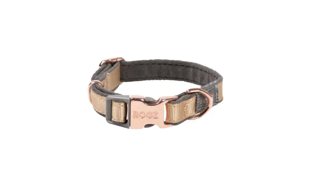 Rogz - Collier Urban Or pour Chiens Usine Directe