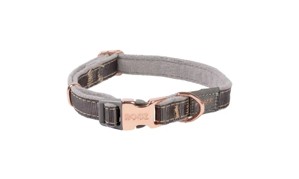 Super Prix Rogz – Collier Urban Taupe pour Chiens