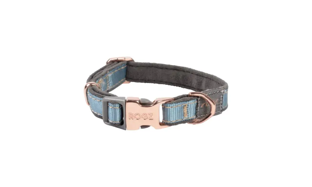 Produit De Marque Rogz - Collier Urban Turquoise pour Chiens