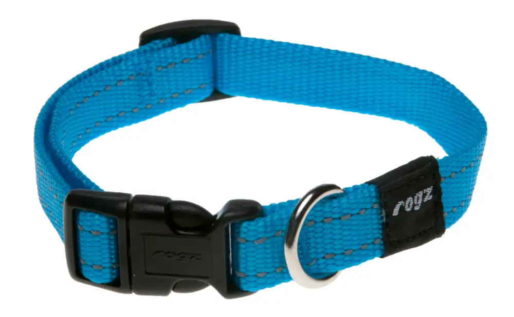 Rogz – Collier Utility Turquoise pour Chiens Affaire À Saisir