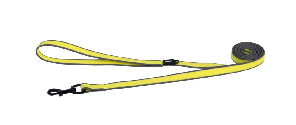 Rogz – Laisse Amphibian Jaune pour Chiens Livraison Express